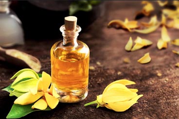 Alang ilang Essence oil wholesale