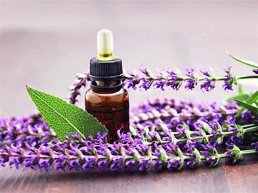 Sage Essence oil wholesale